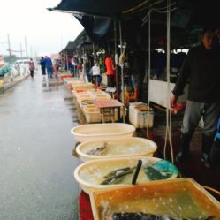無錫小溪橋水產(chǎn)批發(fā)市場 地址、電話、營業(yè)時間與美食探尋指南