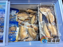 海南水產品現狀解讀 依賴出口、內銷滯后，亟待轉型升級